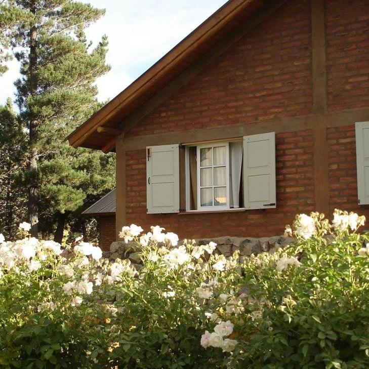 Cabanas Pyracantha Esquel Eksteriør bilde